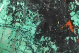 Chrysocolla & Malachite Slab From Arizona - Clear Coated #119756-1
